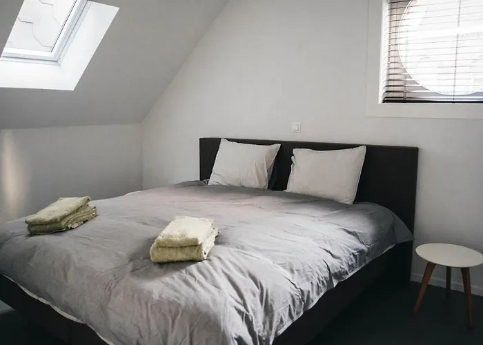 Gezellige Loft Met Twee Slaapkamers