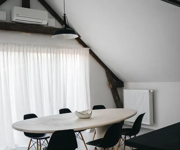 Gezellige Loft Met Twee Slaapkamers
