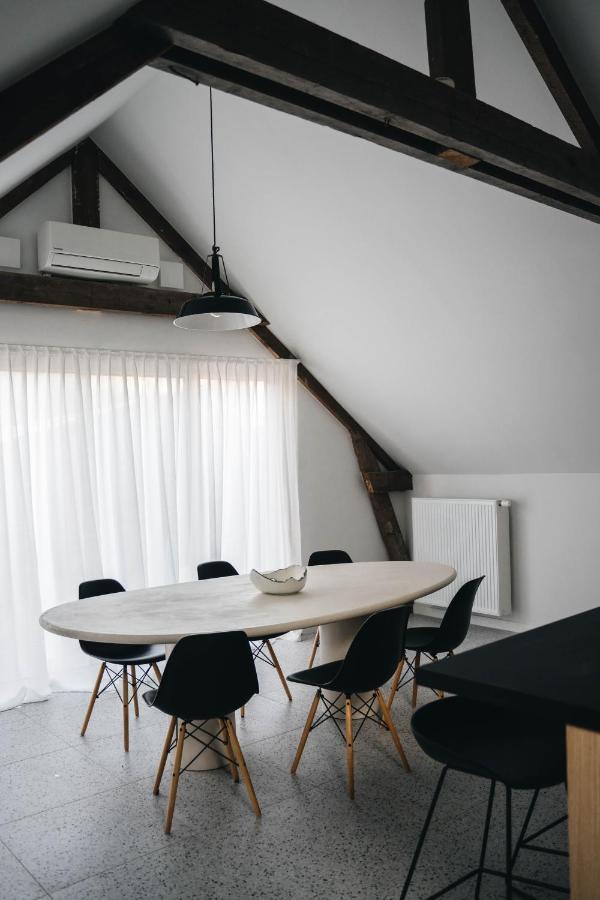 Gezellige Loft Met Twee Slaapkamers *